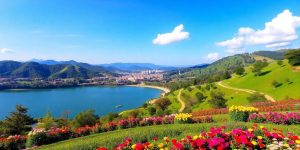 Lush hills and flower garden in dalat city